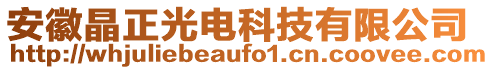 安徽晶正光電科技有限公司