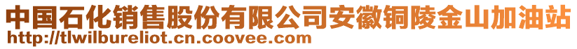 中國(guó)石化銷售股份有限公司安徽銅陵金山加油站