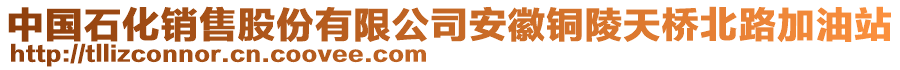 中國石化銷售股份有限公司安徽銅陵天橋北路加油站