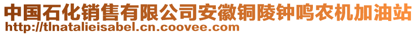 中國(guó)石化銷售有限公司安徽銅陵鐘鳴農(nóng)機(jī)加油站