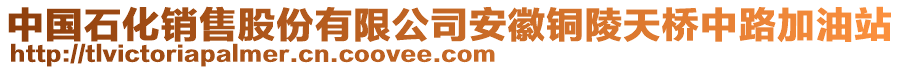 中國石化銷售股份有限公司安徽銅陵天橋中路加油站