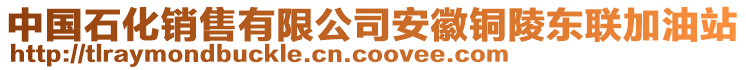 中國石化銷售有限公司安徽銅陵東聯(lián)加油站