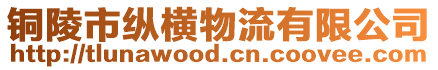 銅陵市縱橫物流有限公司