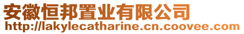 安徽恒邦置業(yè)有限公司