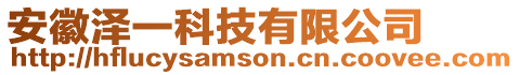 安徽澤一科技有限公司