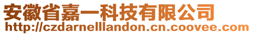 安徽省嘉一科技有限公司