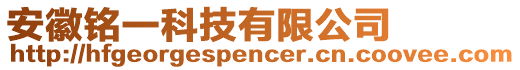 安徽銘一科技有限公司