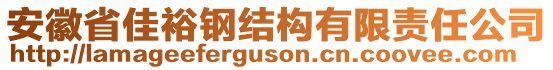 安徽省佳裕鋼結(jié)構(gòu)有限責(zé)任公司