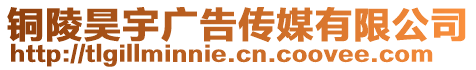 铜陵昊宇广告传媒有限公司