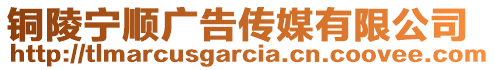 铜陵宁顺广告传媒有限公司