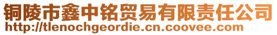 铜陵市鑫中铭贸易有限责任公司