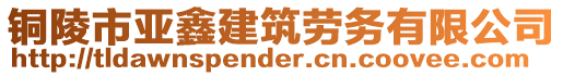 銅陵市亞鑫建筑勞務(wù)有限公司