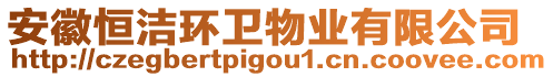 安徽恒潔環(huán)衛(wèi)物業(yè)有限公司