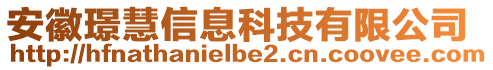 安徽璟慧信息科技有限公司