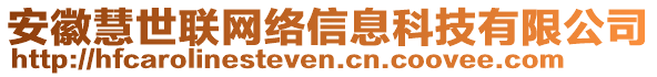 安徽慧世聯(lián)網(wǎng)絡(luò)信息科技有限公司