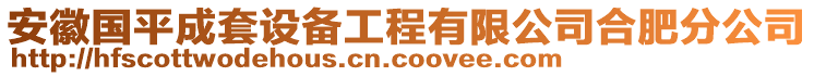 安徽國(guó)平成套設(shè)備工程有限公司合肥分公司