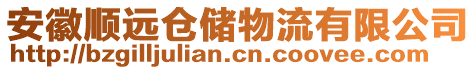 安徽順遠(yuǎn)倉(cāng)儲(chǔ)物流有限公司