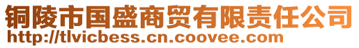 銅陵市國(guó)盛商貿(mào)有限責(zé)任公司