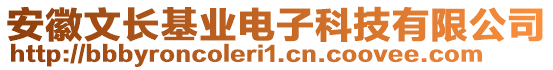 安徽文長基業(yè)電子科技有限公司