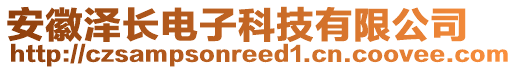 安徽澤長電子科技有限公司