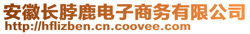 安徽長脖鹿電子商務(wù)有限公司