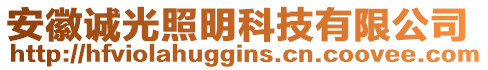 安徽誠(chéng)光照明科技有限公司