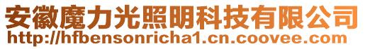 安徽魔力光照明科技有限公司