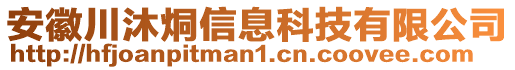 安徽川沐烔信息科技有限公司