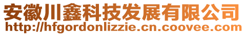 安徽川鑫科技發(fā)展有限公司