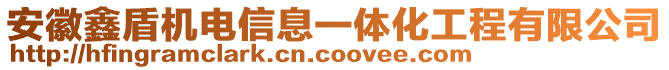 安徽鑫盾機(jī)電信息一體化工程有限公司