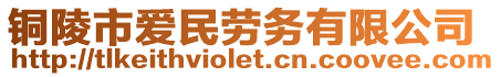 銅陵市愛民勞務(wù)有限公司