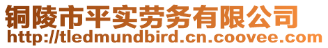 銅陵市平實(shí)勞務(wù)有限公司