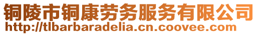 銅陵市銅康勞務服務有限公司