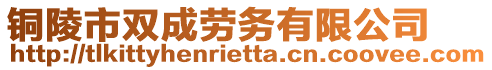 銅陵市雙成勞務(wù)有限公司