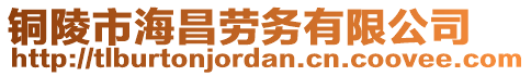 銅陵市海昌勞務(wù)有限公司