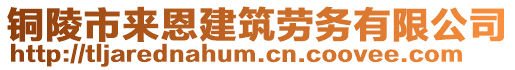 銅陵市來(lái)恩建筑勞務(wù)有限公司