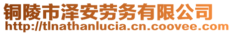 銅陵市澤安勞務(wù)有限公司