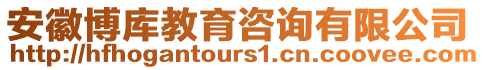 安徽博庫教育咨詢有限公司