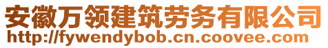 安徽萬領(lǐng)建筑勞務(wù)有限公司