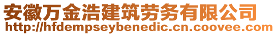 安徽萬金浩建筑勞務(wù)有限公司