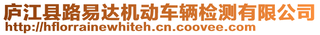 廬江縣路易達(dá)機(jī)動(dòng)車輛檢測(cè)有限公司