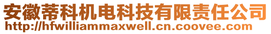 安徽蒂科機(jī)電科技有限責(zé)任公司