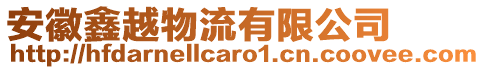 安徽鑫越物流有限公司