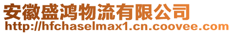 安徽盛鴻物流有限公司