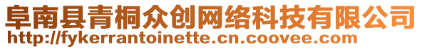 阜南縣青桐眾創(chuàng)網(wǎng)絡(luò)科技有限公司