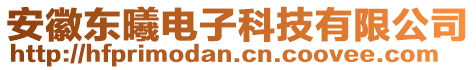 安徽東曦電子科技有限公司