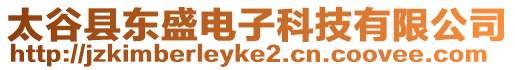 太谷縣東盛電子科技有限公司