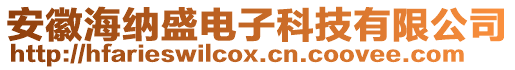 安徽海納盛電子科技有限公司