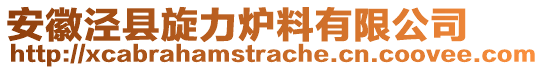 安徽涇縣旋力爐料有限公司