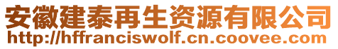 安徽建泰再生資源有限公司